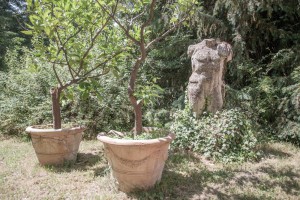 Villa Manodori - giardino esterno