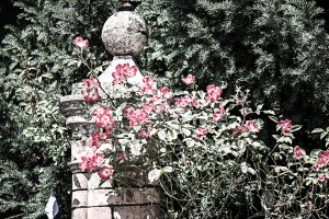 Villa Manodori - giardino esterno