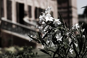 Villa Manodori - giardino esterno