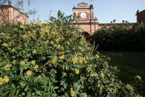 Villa Manodori - esterno